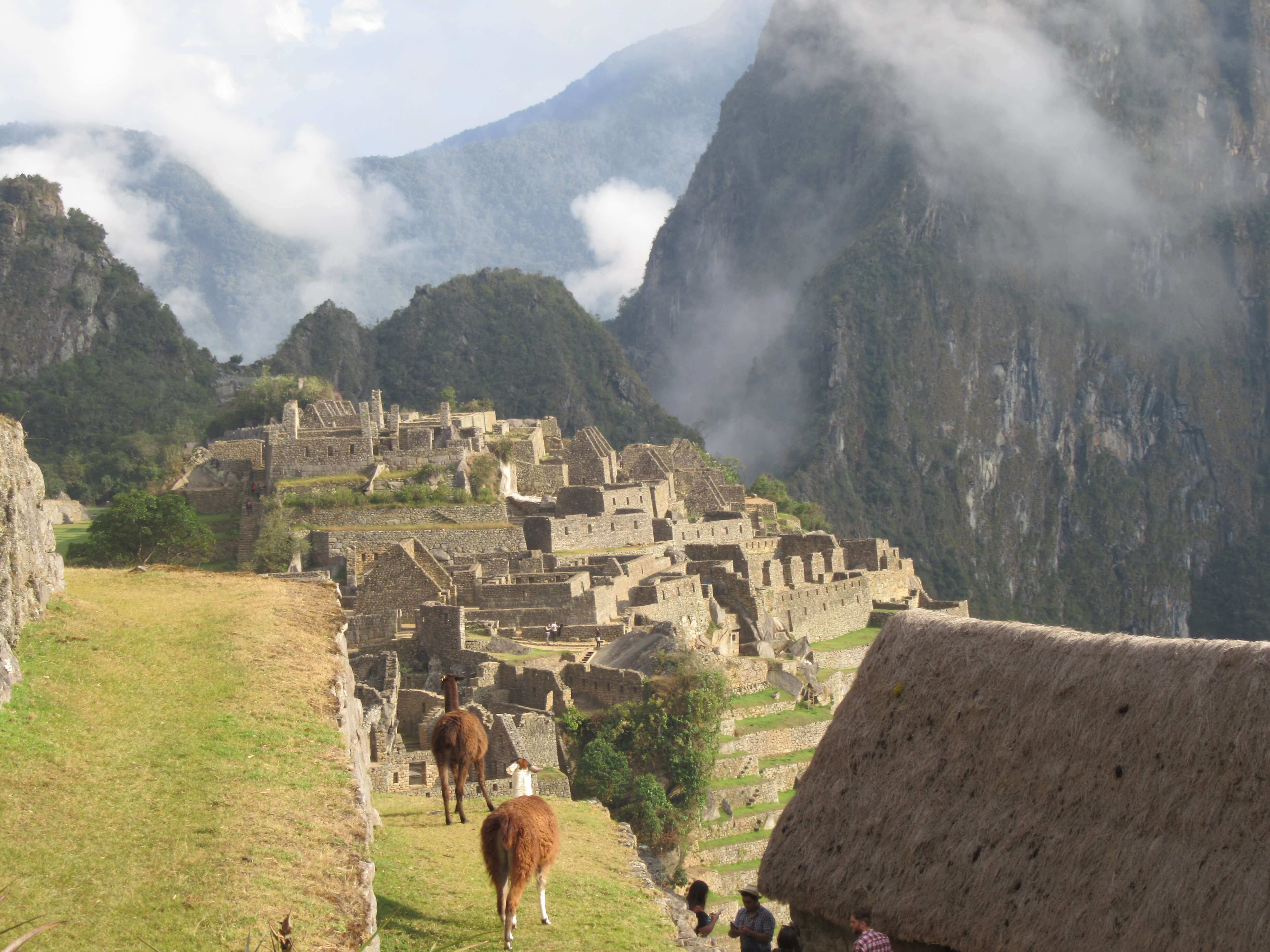 machu picchu