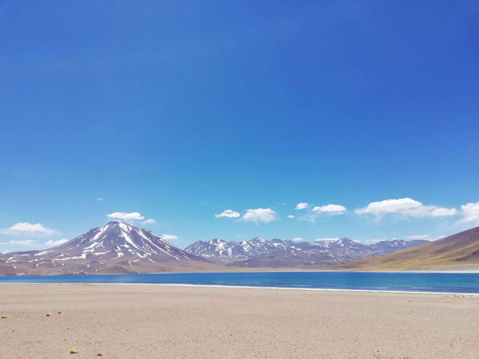 DESERTO CILENO TAM