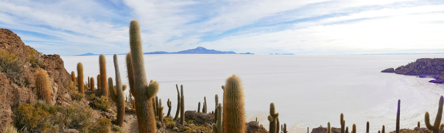 Bolivia - Salar de Uyuni - Isla Incahuasi - Tuttaltromondo
