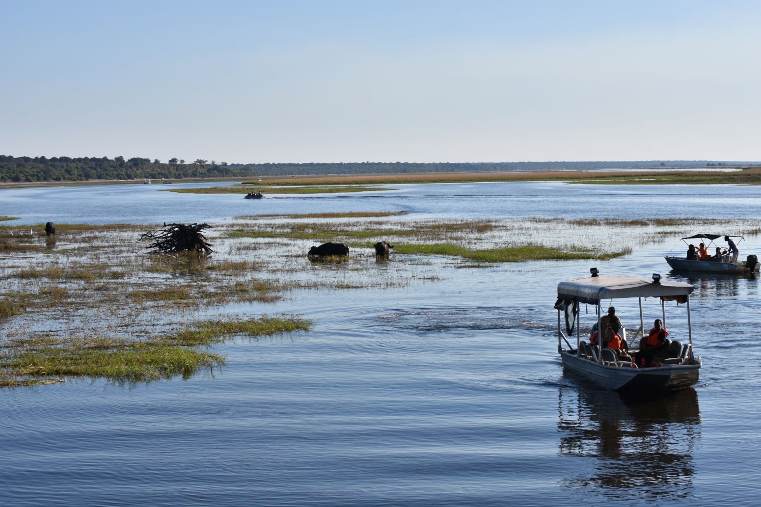 CHOBE NATIONAL PARK BOTSWANA TAM