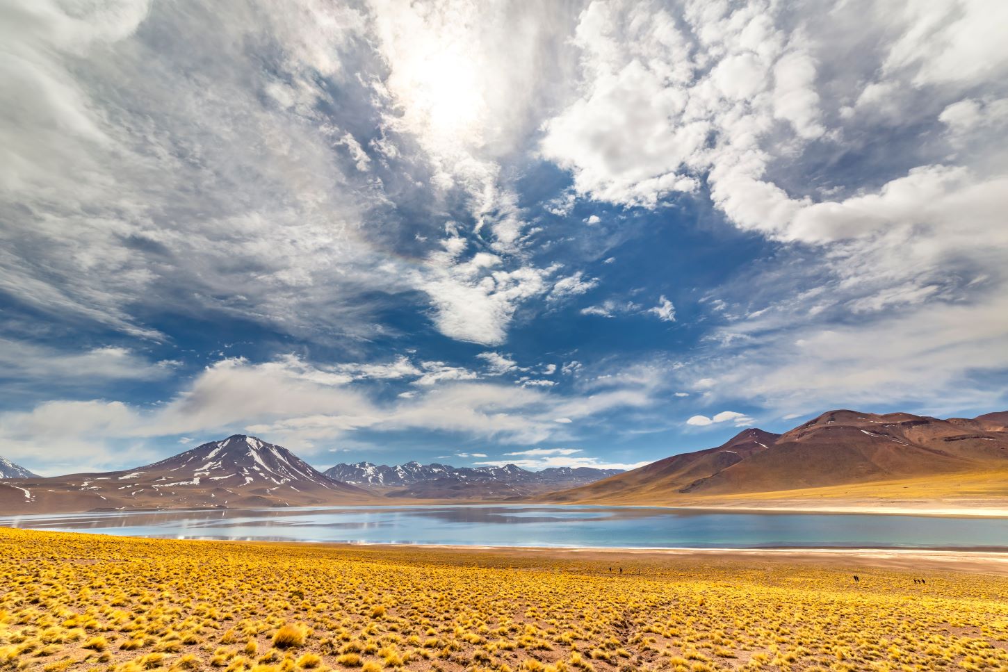 Cile - Laguna Miscanti - Tuttaltromondo