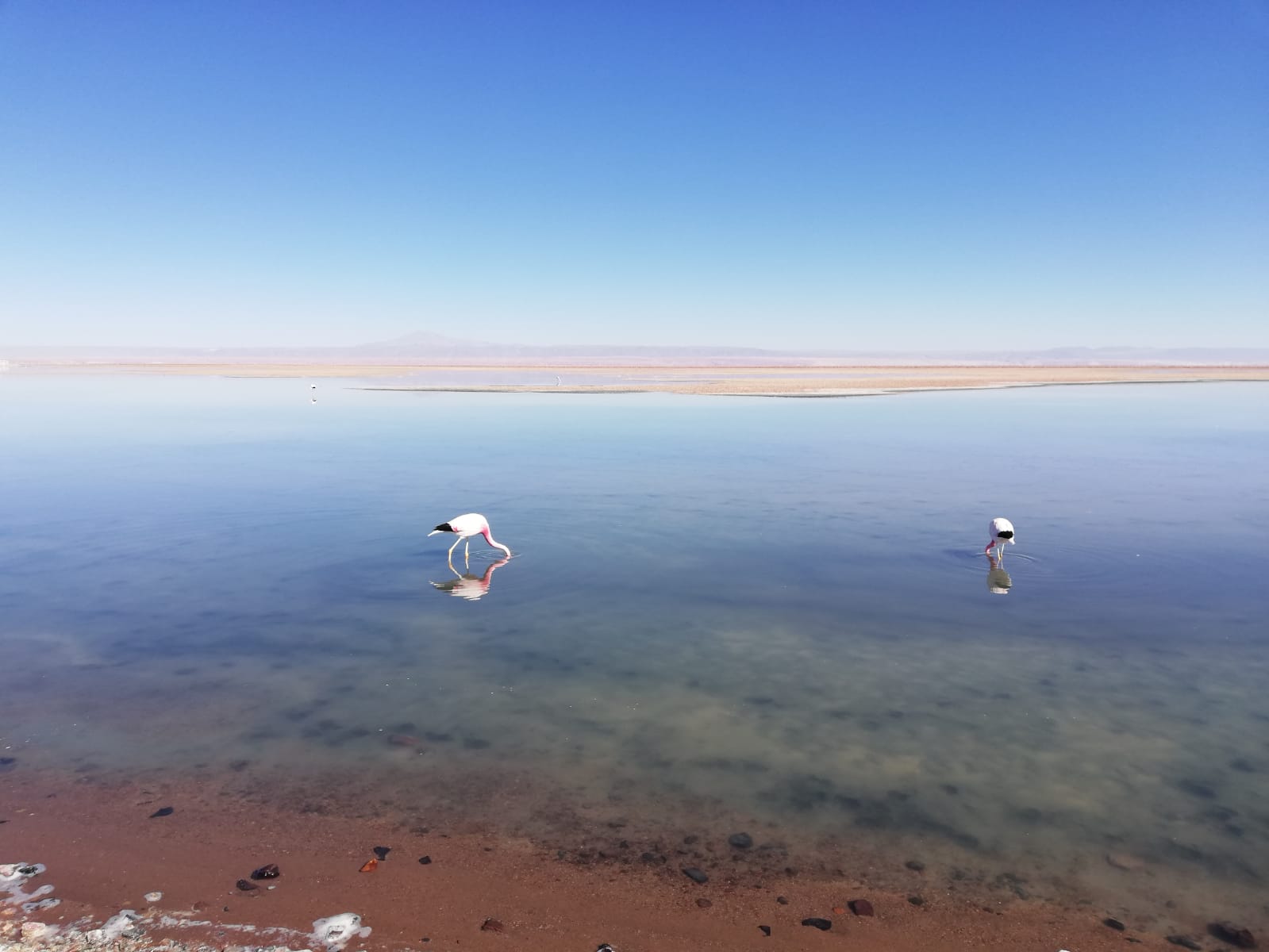 LAGUNA MISCANTI TAM