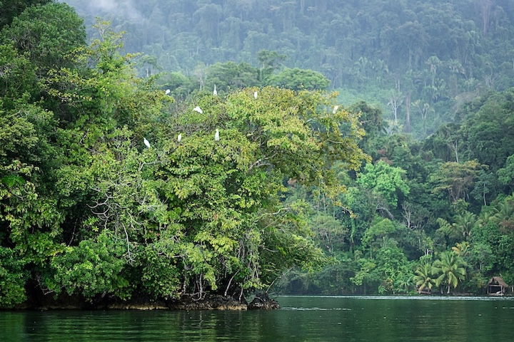 Guatemala - Rio Dulce - Tuttaltromondo