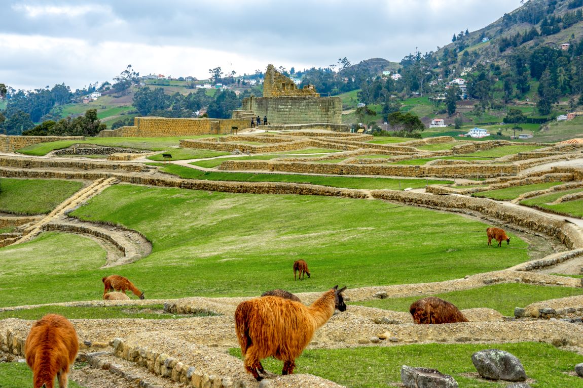 INCA VILLAGE INGAPIRCA ECUADOR TAM