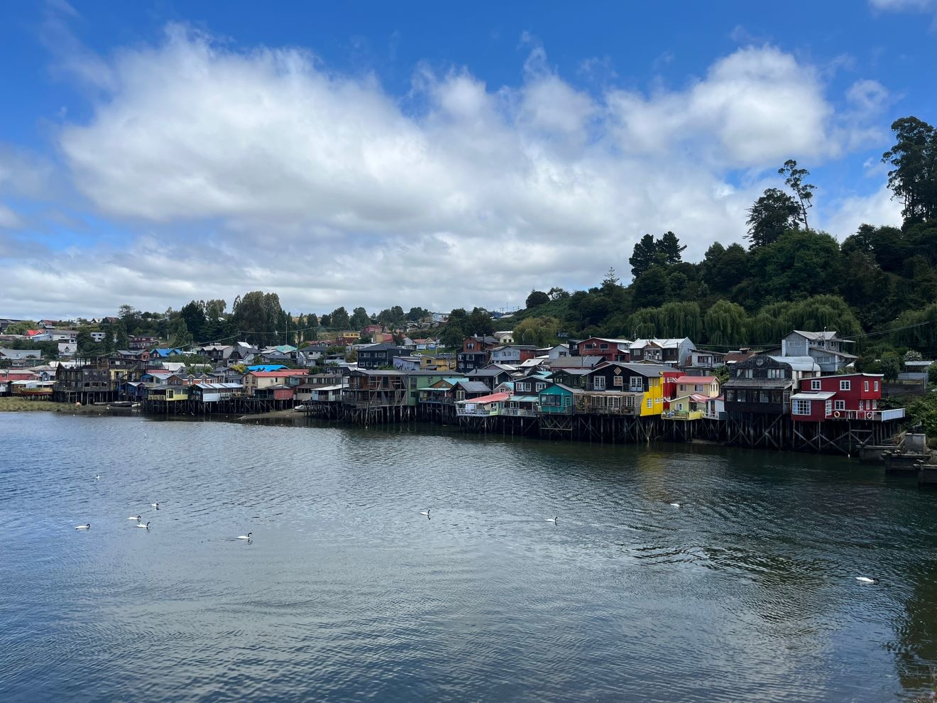 ISOLA CHILOE' SACCO CILE TAM