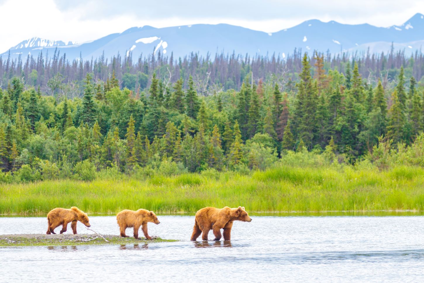 KATMAI NATIONAL PARK ALASKA TAM