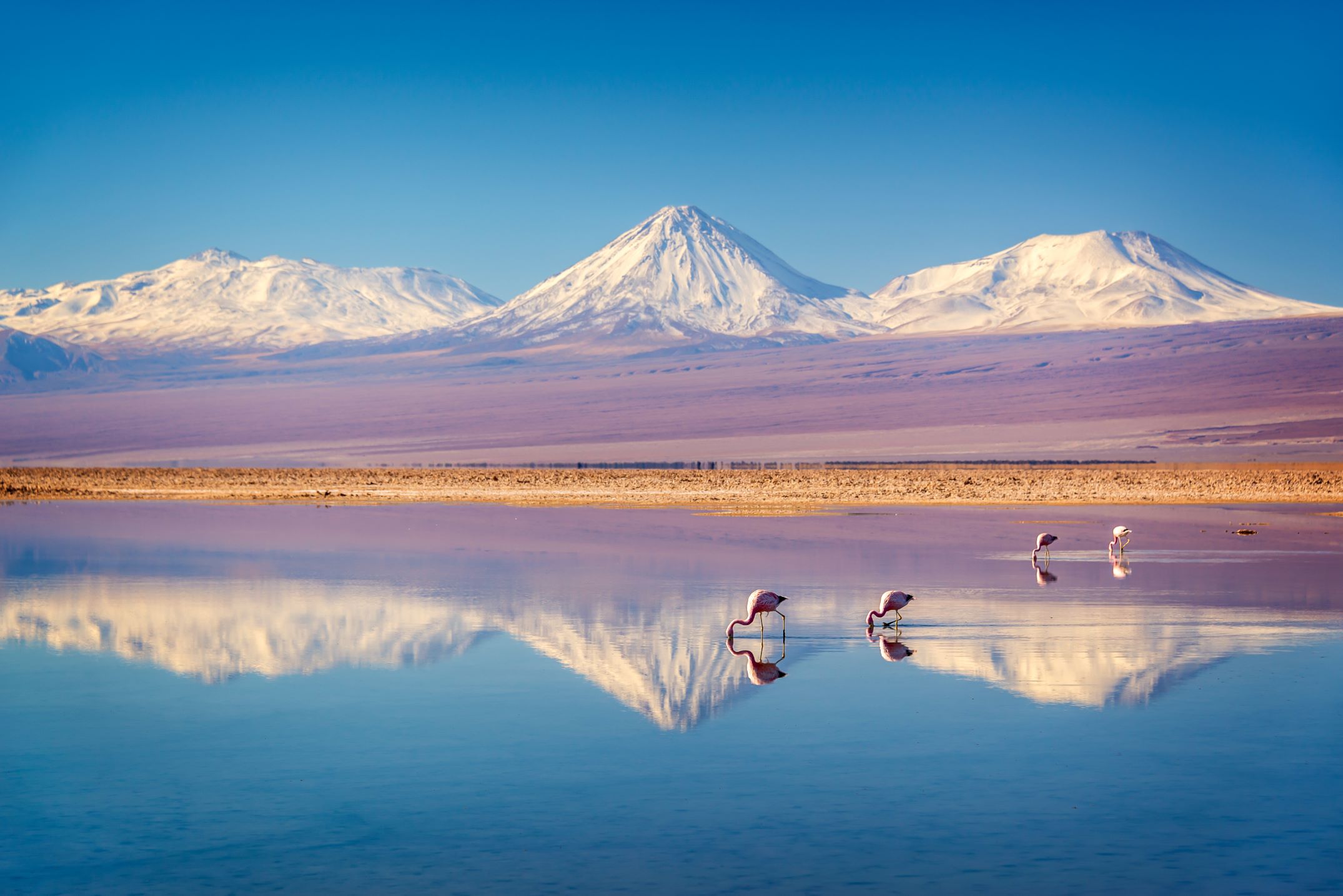 LAGUNA CHAXA CILE TAM