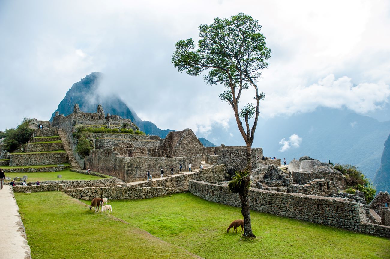 MACHU PICCHU TAM