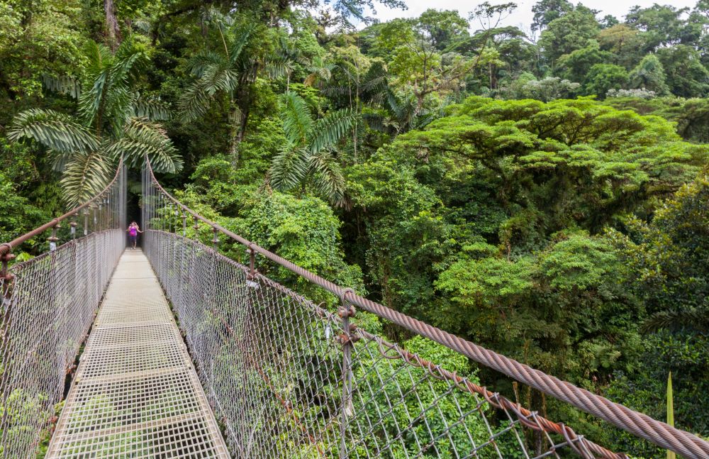 MISTICO ARENAL HANGING BRIDGES PARK COSTA RICA TAM