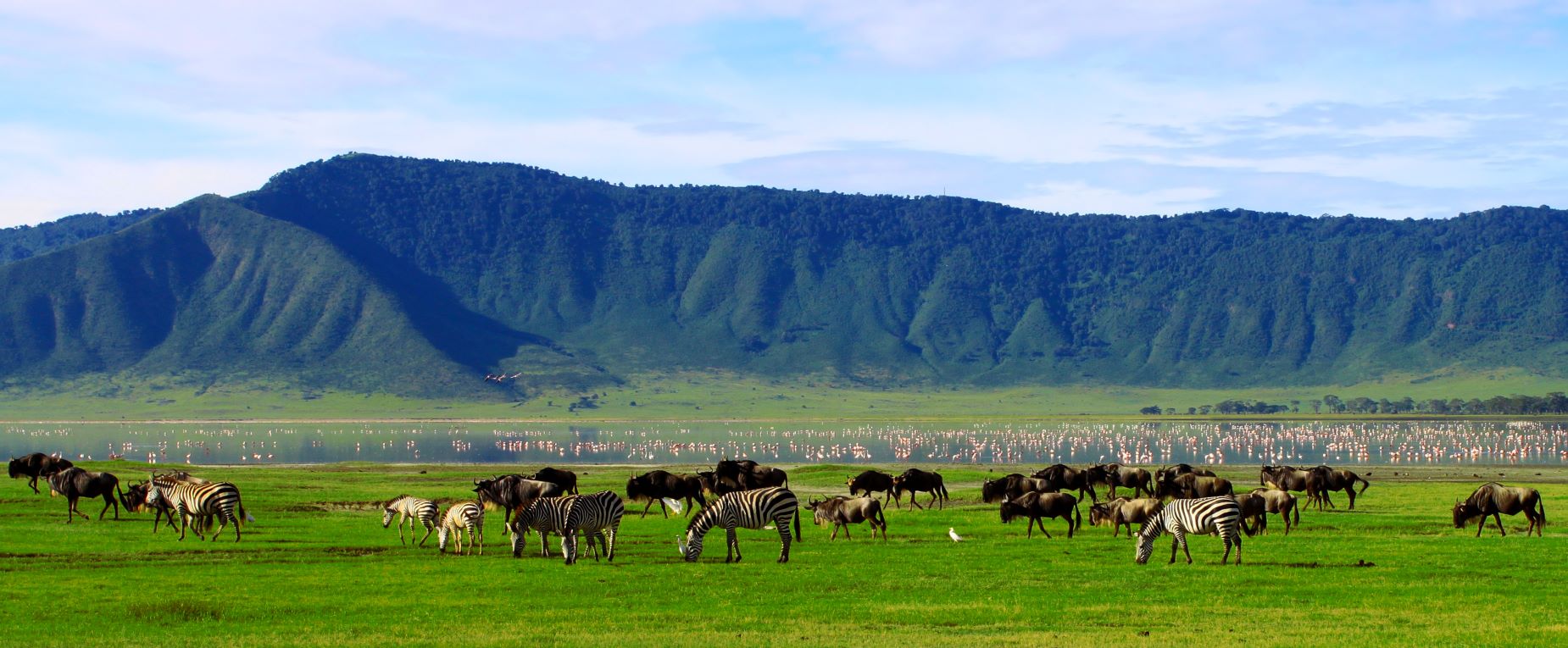 NGORONGORO CRATER TANZANIA TAM