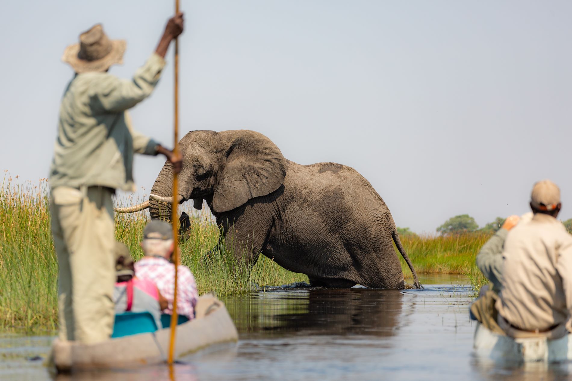 OKAVANGO DELTA BY MOKORO BOTSWANA TAM