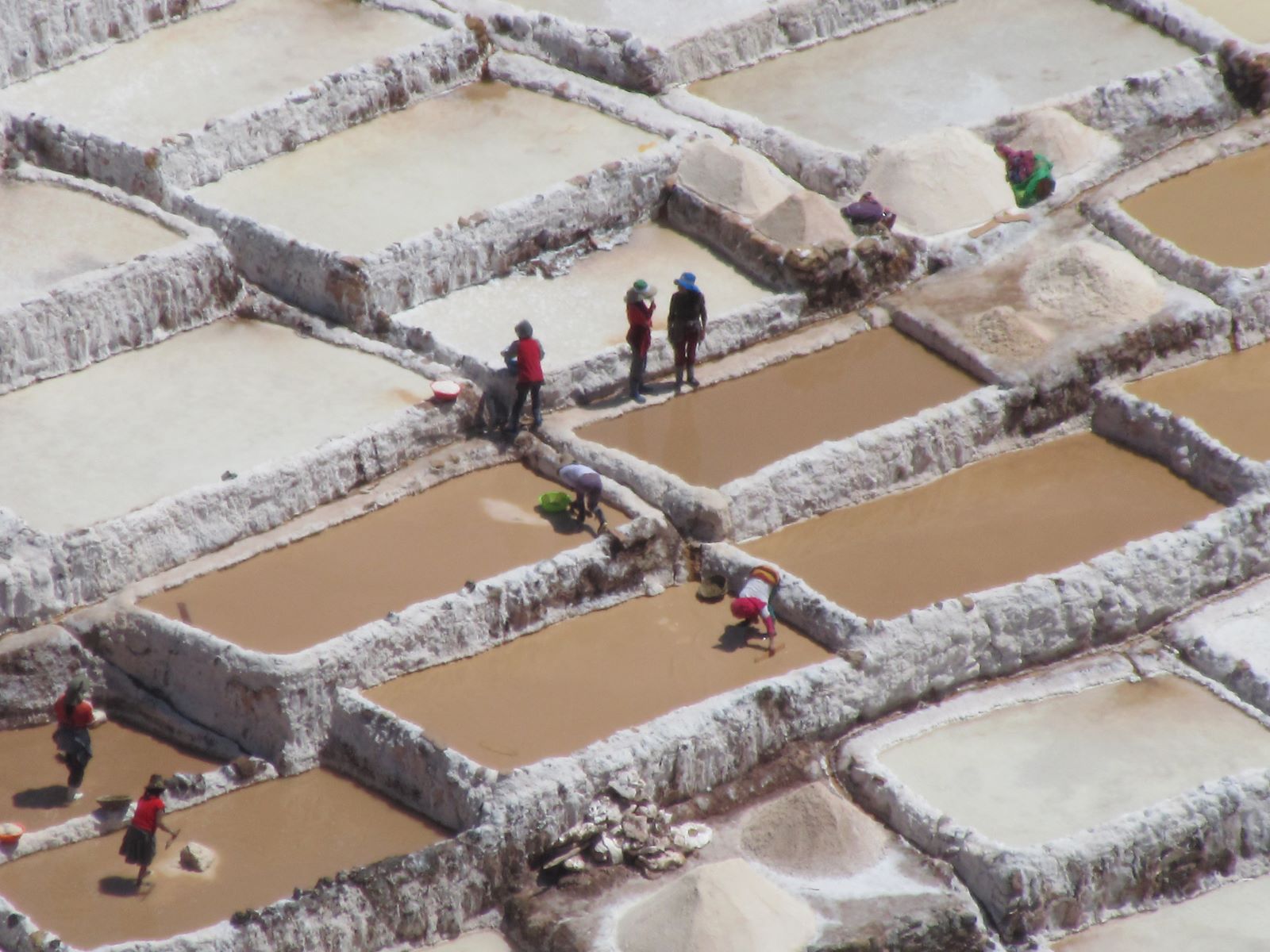 SALINE MARAS ONGARO PRU TAM