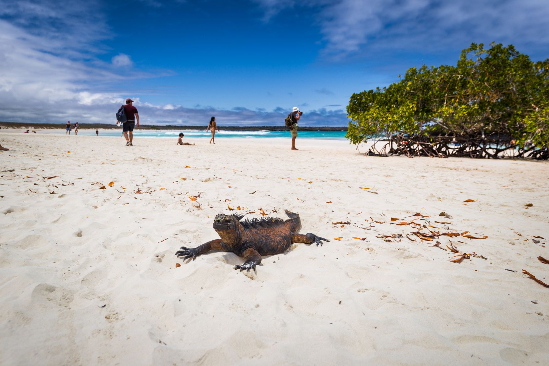 TORTUGA BAY GALAPAGOS TUTTALTROMONDO