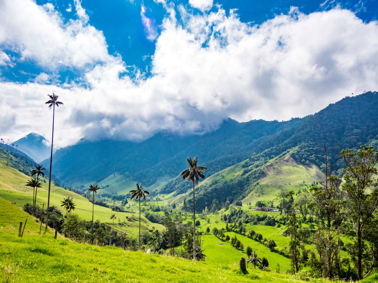 VALLE DI COCORA TAM