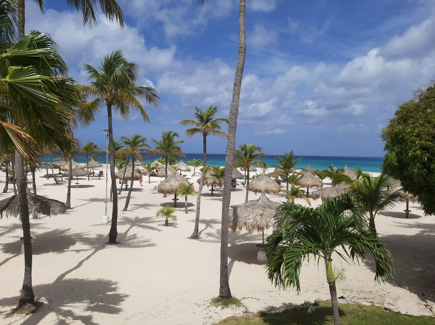 ARUBA TAM
