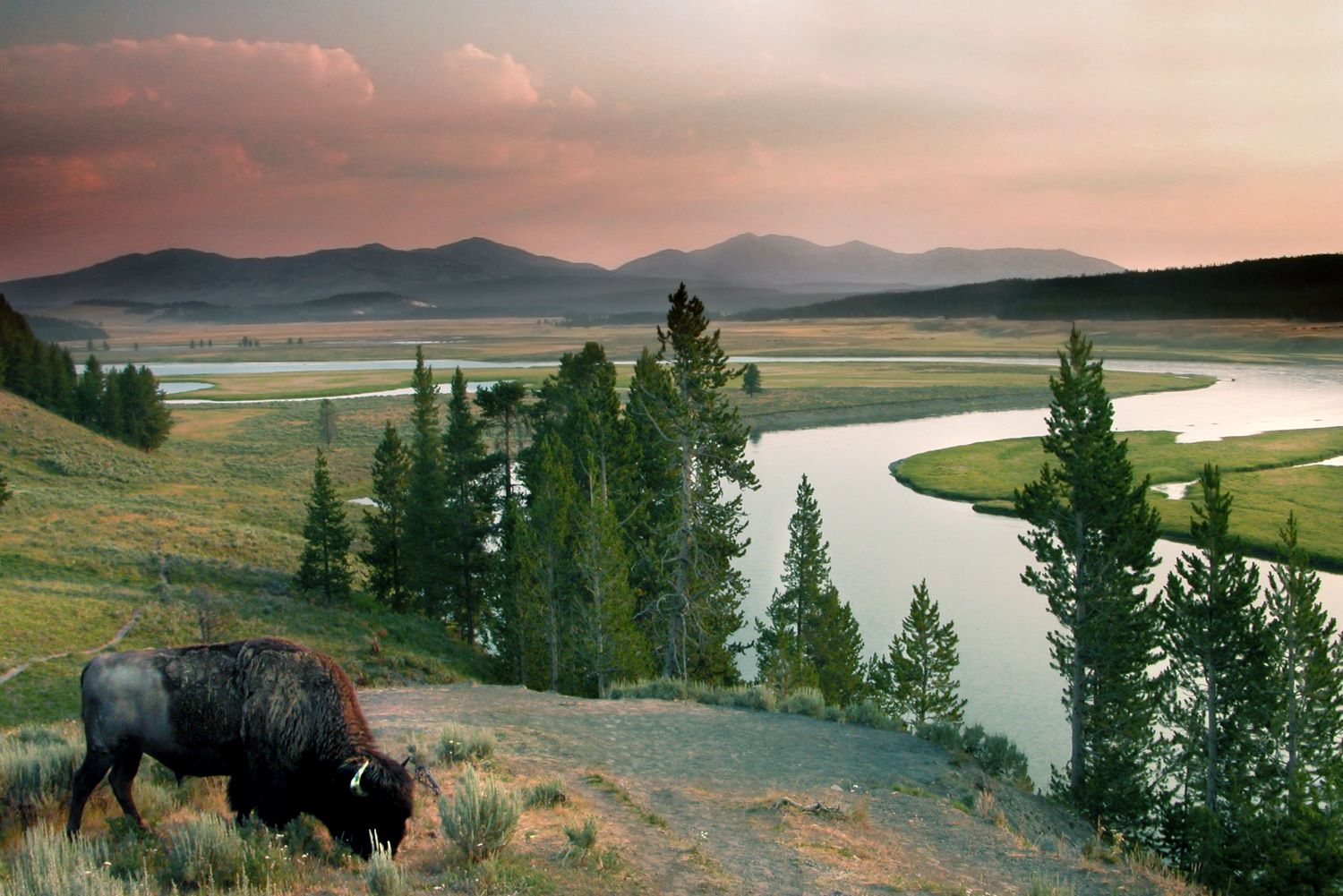 YELLOWSTONE NATIONAL PARK USA TUTTALTROMONDO