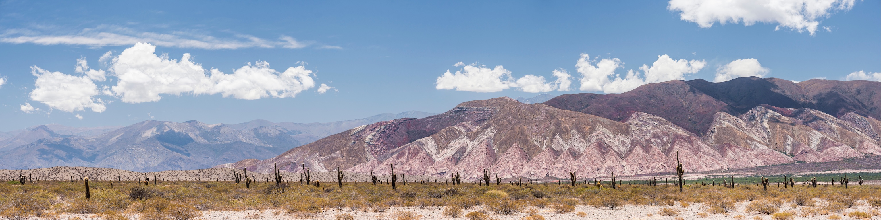 Argentina - Salta - Valle Calchaquies - Tuttaltromondo