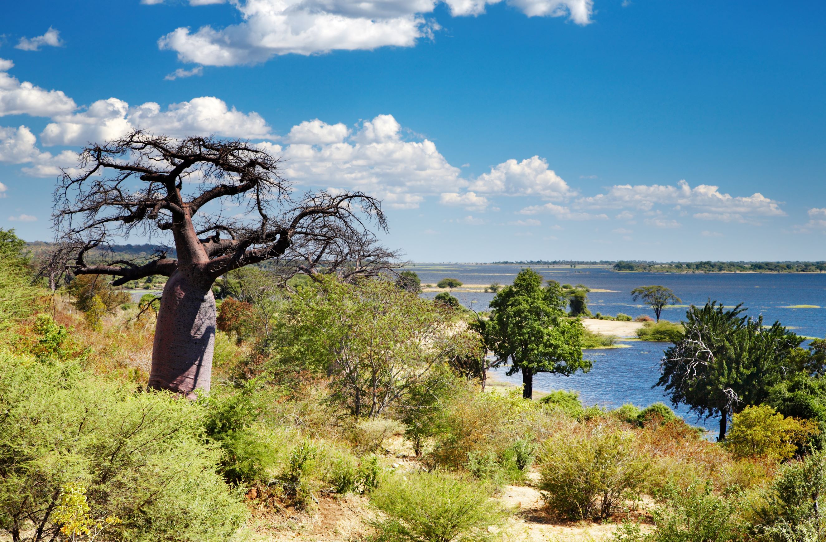 CHOBE RIVER BOTSWANA TAM