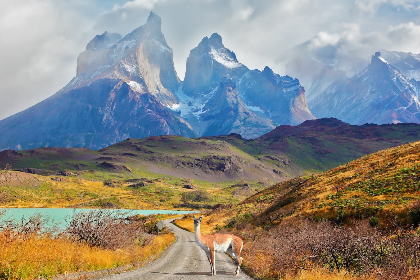 Cile - Torres del Paine - Lago Pehoe - Tuttaltromondo