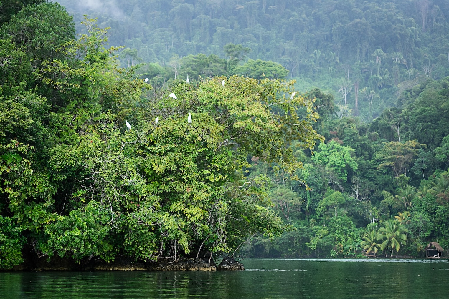 Guatemala - Rio Dulce - Tuttaltromondo 