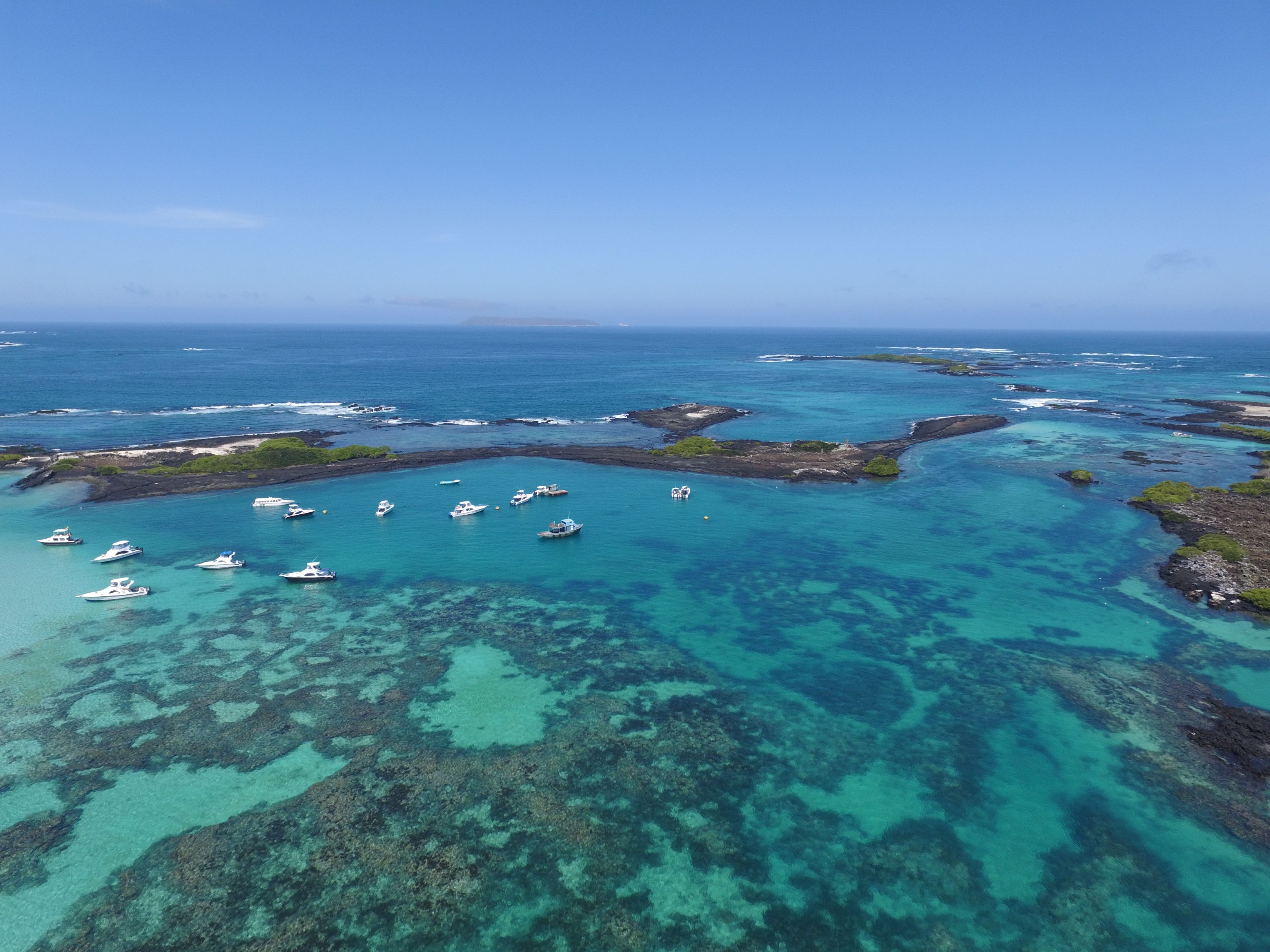 ISABELA ISLAND GALAPAGOS TUTTALTROMONDO