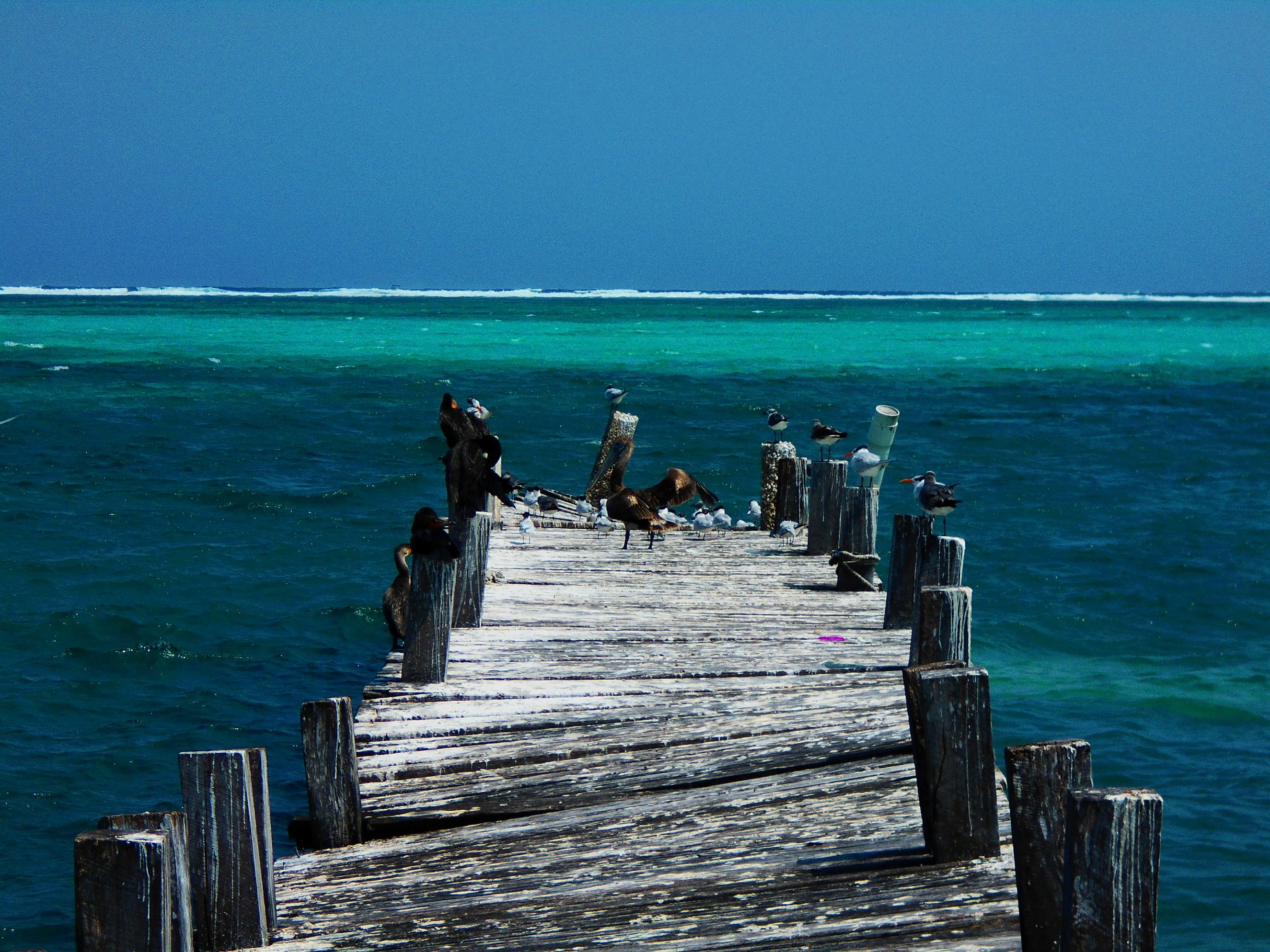 SAN PEDRO BELIZE TAM