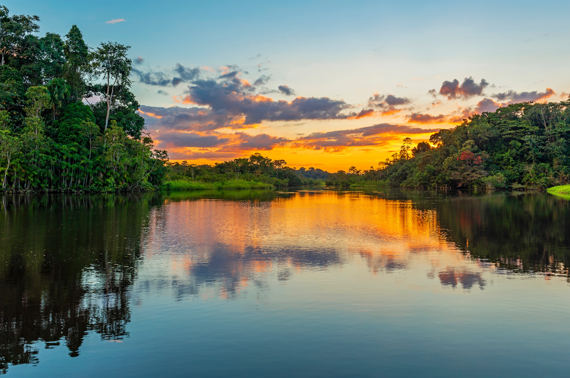 SUNSET AMAZZONIA TAM