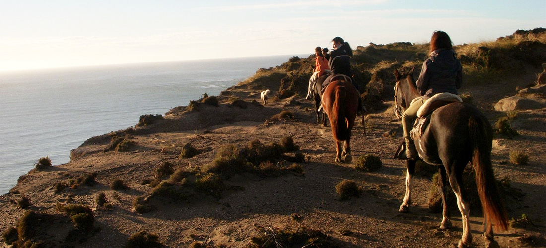 viaggio in Argentina: passeggiata a cavallo in luna di miele