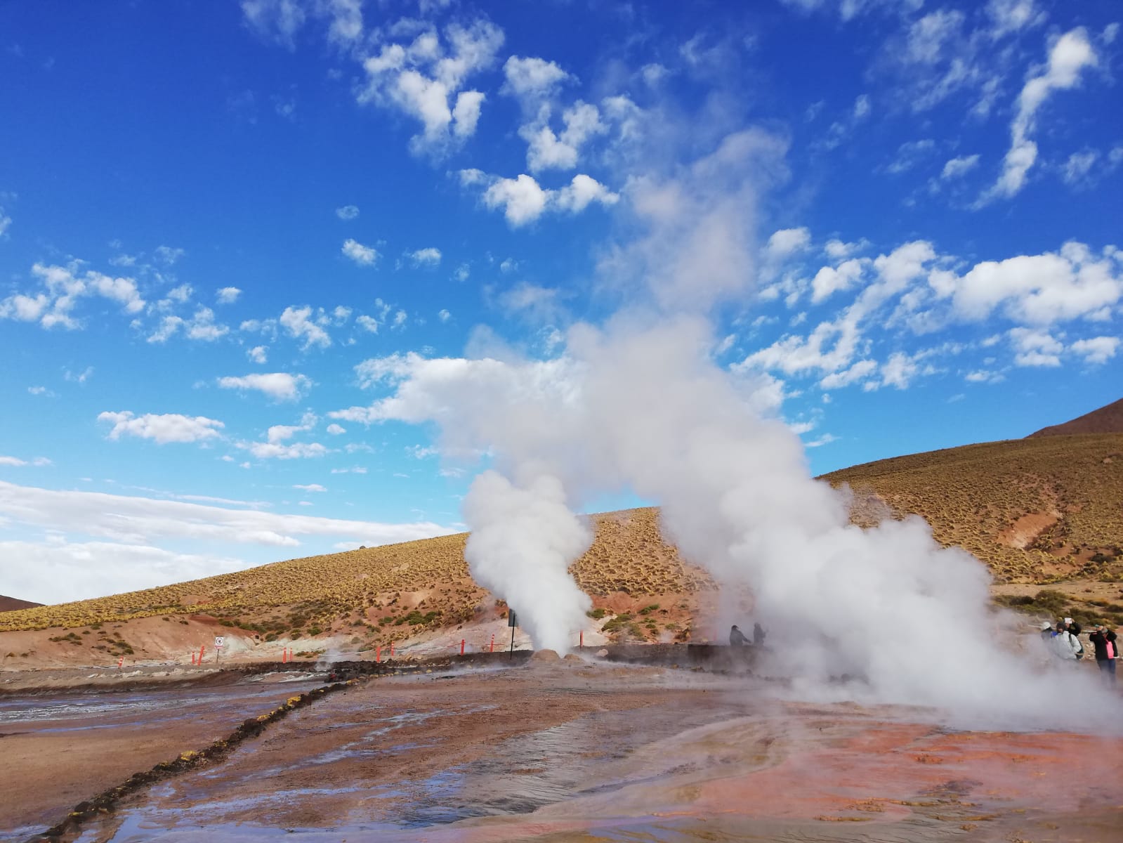 GEISER TATIO CORBELLINI CILE TAM