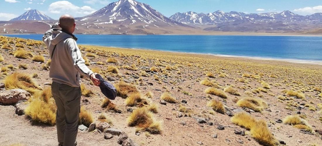 Viaggio in Cile - Lagunas Altiplanicas