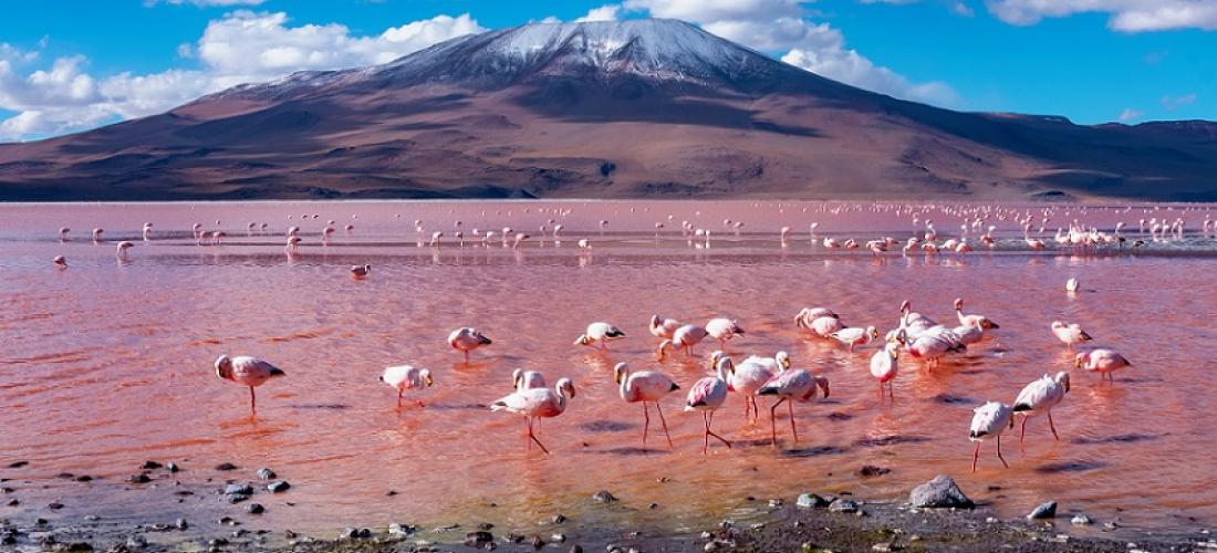 Viaggio in Cile - laguna de Atacama
