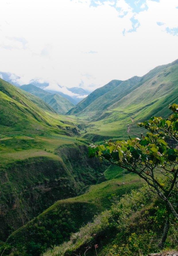 Tuttaltromondo - Destinazioni - Ecuador