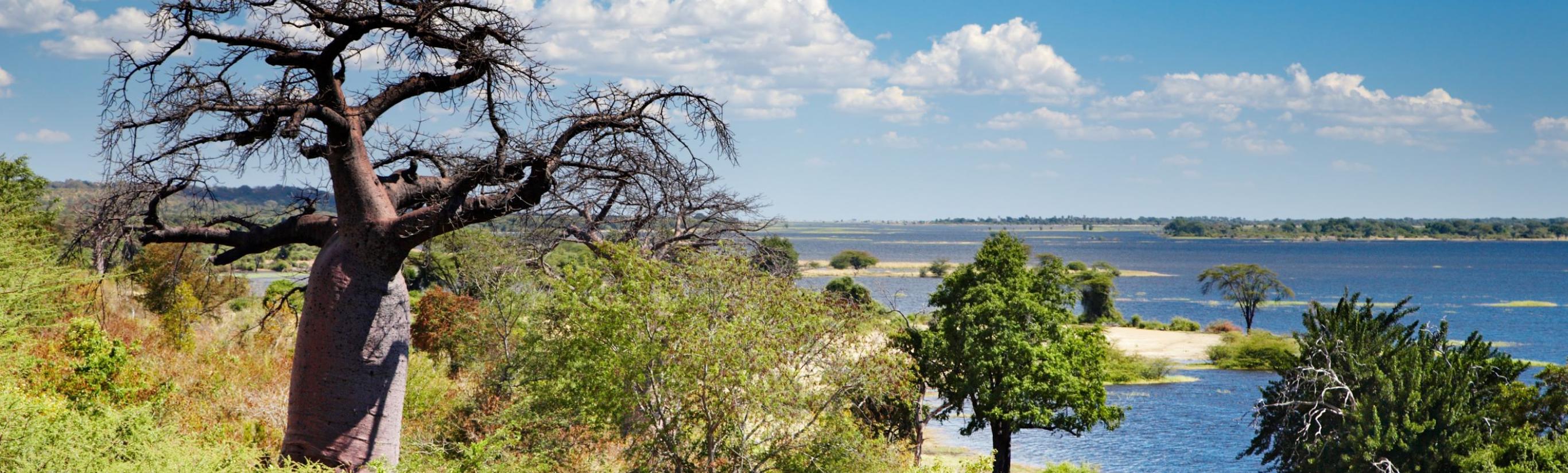 CHOBE RIVER BOTSWANA TAM