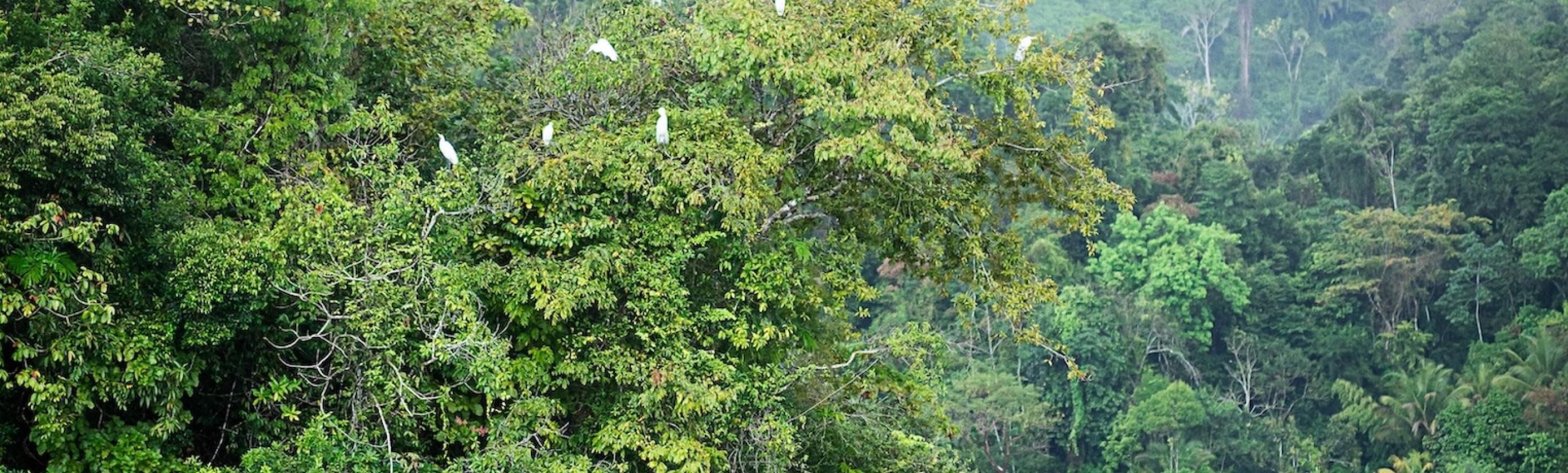 Guatemala - Rio Dulce - Tuttaltromondo 