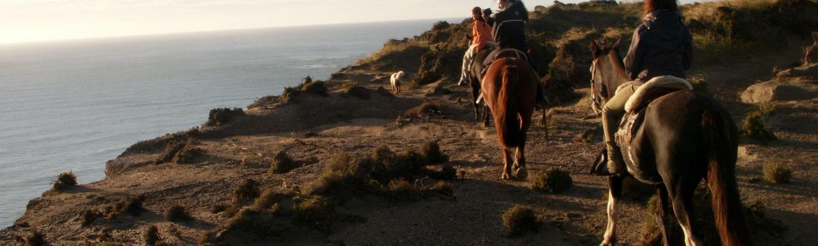 Passeggiata a cavallo