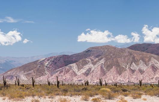 Argentina - Salta - Valle Calchaquies - Tuttaltromondo