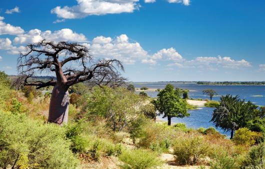 CHOBE RIVER BOTSWANA TAM