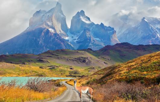Cile - Torres del Paine - Lago Pehoe - Tuttaltromondo