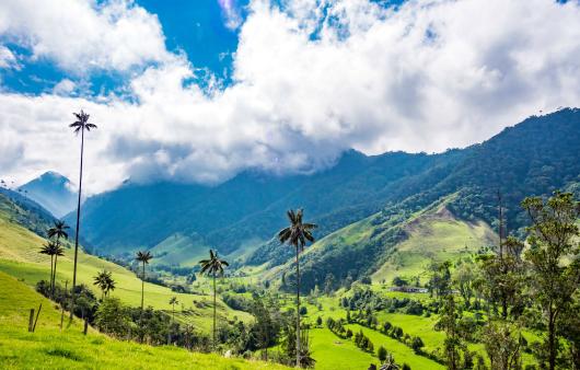 Colombia - Valle Cocora - Tuttaltromondo