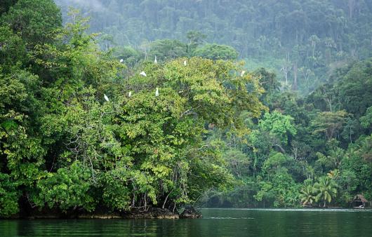 Guatemala - Rio Dulce - Tuttaltromondo 