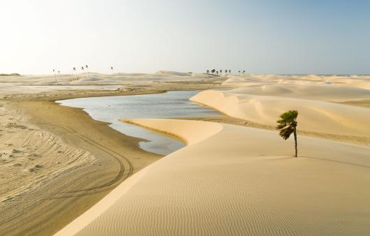 LENCOIS MARANHENSES BRASILE TUTTALTROMONDO