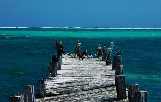 SAN PEDRO BELIZE TAM