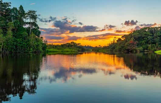 SUNSET AMAZZONIA TAM