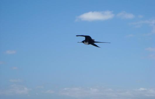 Viaggio in Ecuador con Galapagos