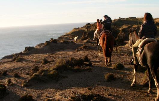 viaggio in Argentina: passeggiata a cavallo in luna di miele