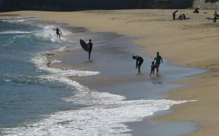 alt="playa caleta abarca, vina del mar, cile"