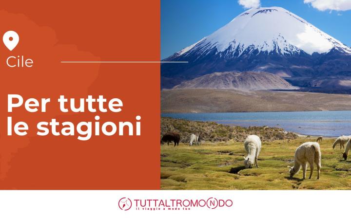 Un viaggio in Cile per tutte le stagioni