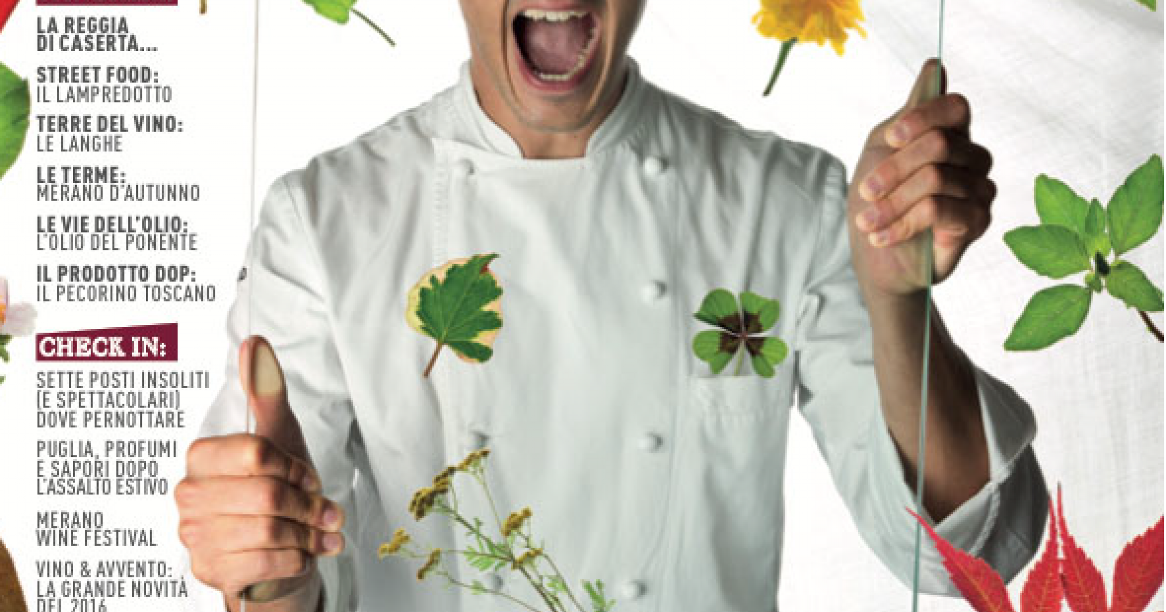 Vie del gusto: scoprendo i vini del Sudamerica