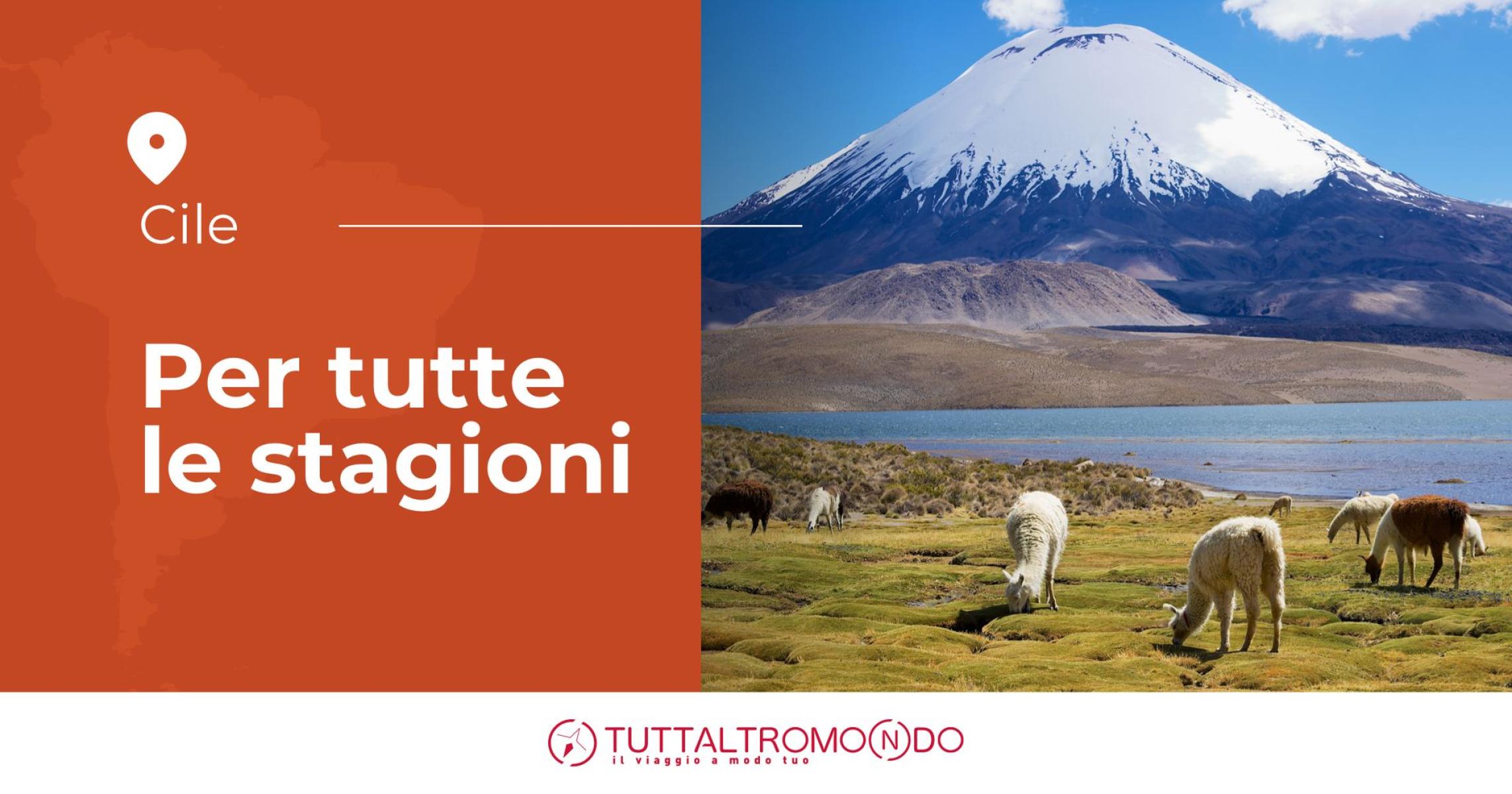 Un viaggio in Cile per tutte le stagioni