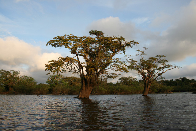 Tutto Ecuador